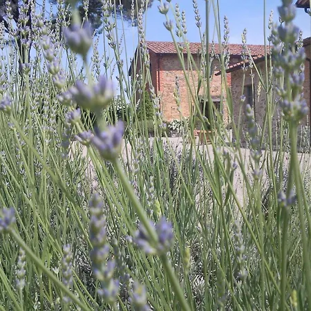 Le E I Gelsomini Villastrada (Umbria)