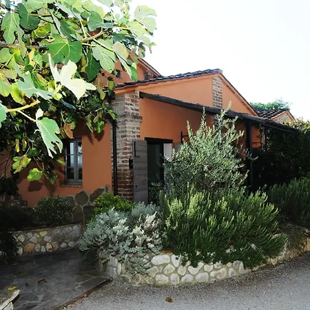 Le E I Gelsomini 4*