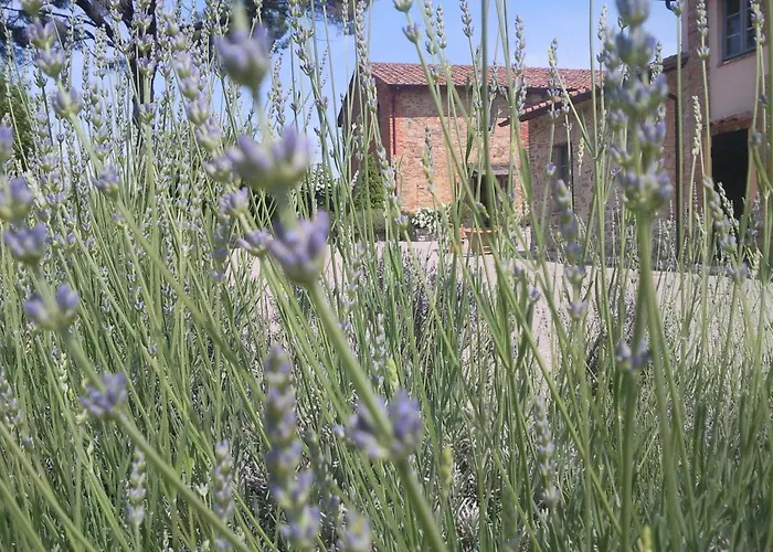 Le E I Gelsomini Villastrada (Umbria)