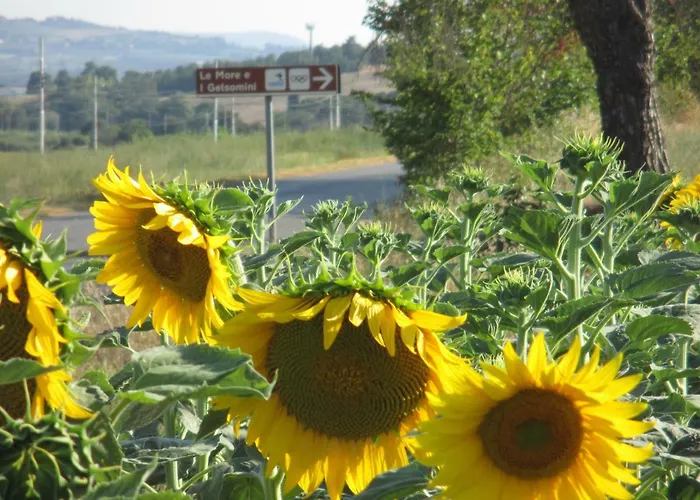 Le E I Gelsomini Apartahotel Villastrada (Umbria)